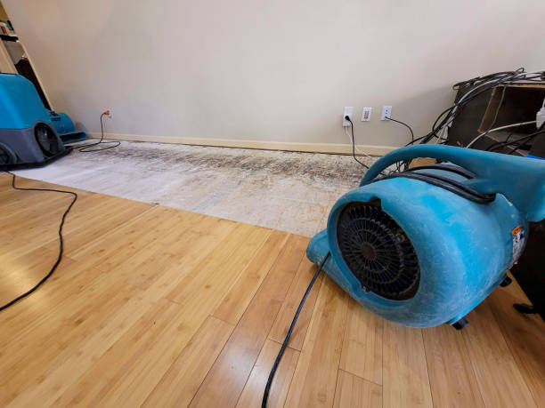 Professional Structural Drying technician working in Coldwater, MS